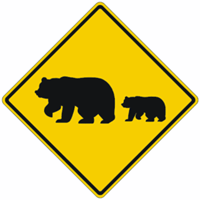 Migrating Bears Warning Sign 24"x24"