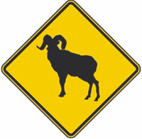 Bighorn Crossing Warning Signs 36"x36"