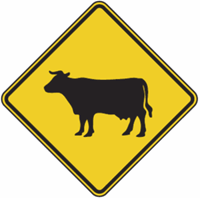 Cattle Crossing Warning Signs 24"x24"